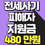 전세사기지원금