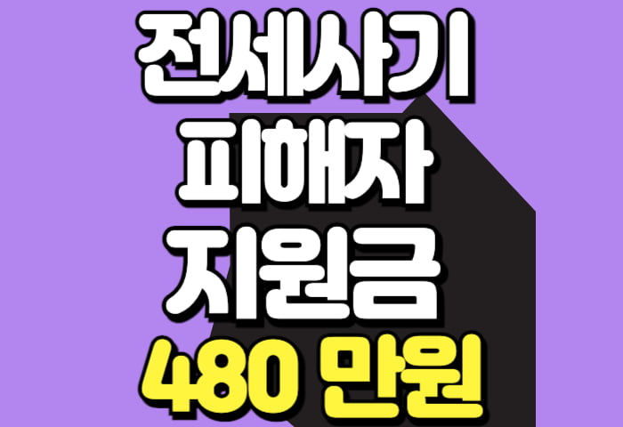 전세사기지원금