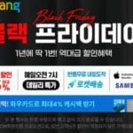 블랙 프라이데이 가전 할인 2024