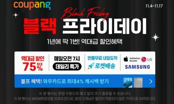 블랙 프라이데이 가전 할인 2024