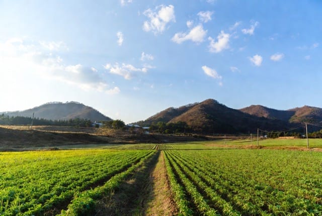 2026 공익직불금 신청 방법