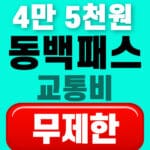 동백패스 무제한