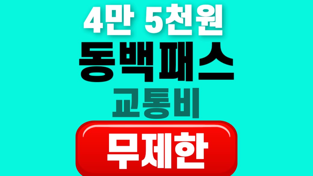 동백패스 무제한