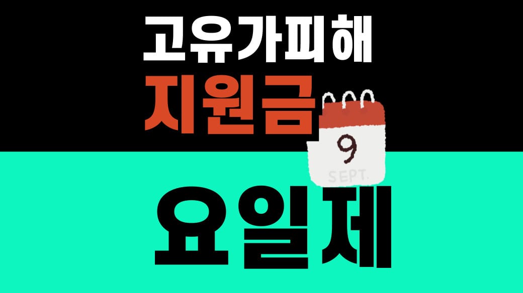 고유가 피해지원금 요일제