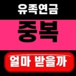 유족연금 노령연금 중복 수령 2026 배우자 사망 후 선택법 대표 섬네일