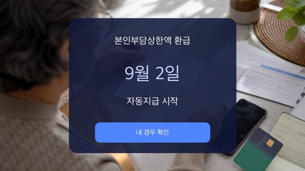 본인부담상한액 환급 2026 9월 2일 자동지급을 보여주는 대표이미지