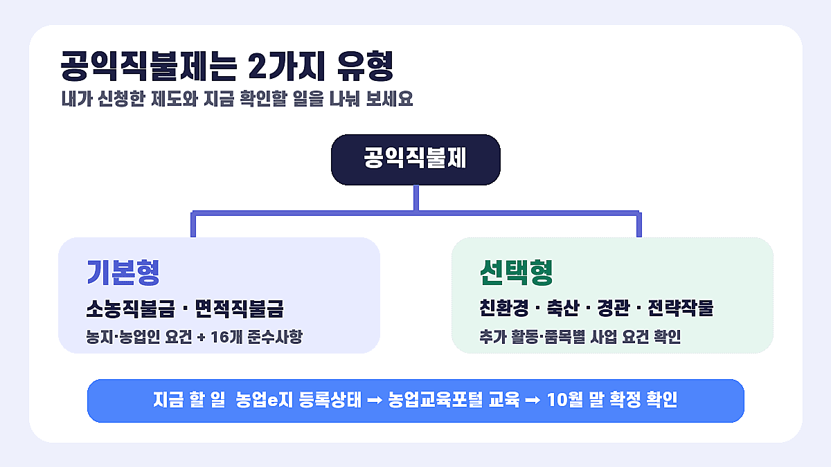 공익직불제 기본형과 선택형 2가지 구조를 설명한 2026 인포그래픽