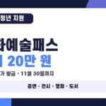 청년문화예술패스 2026, 최대 20만 원 4가지