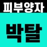 건강보험 피부양자 박탈, 산정내역 3개 자료