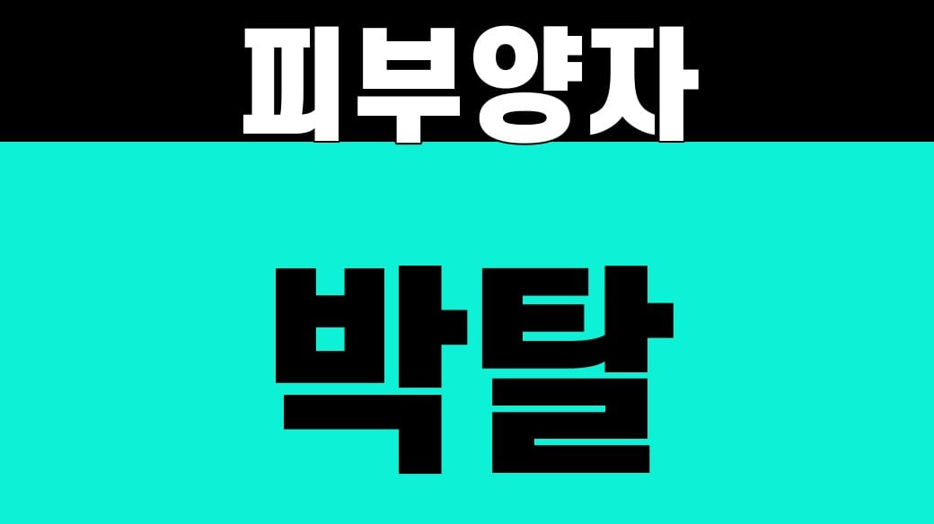 건강보험 피부양자 박탈, 산정내역 3개 자료