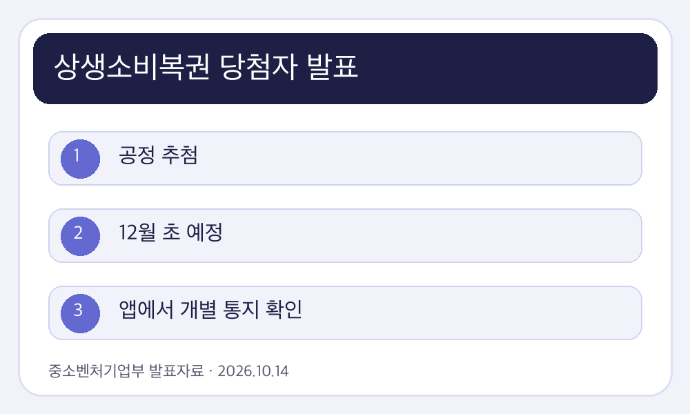 상생소비복권 당첨자 발표 핵심 조건과 진행 흐름 인포그래픽
