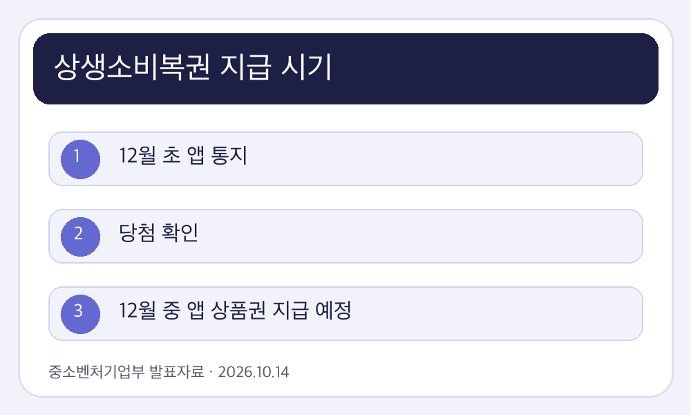 상생소비복권 지급 시기 핵심 조건과 진행 흐름 인포그래픽