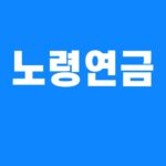 노령연금