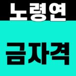 노령연금자격