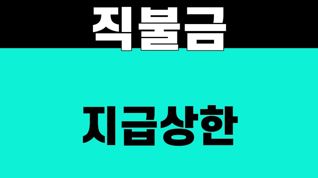 농업인 직불금 지급상한