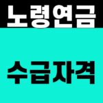 노령연금 수급자격