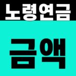 노령연금 금액