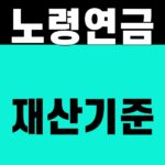 노령연금 재산기준