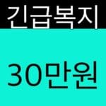 긴급복지 30만원