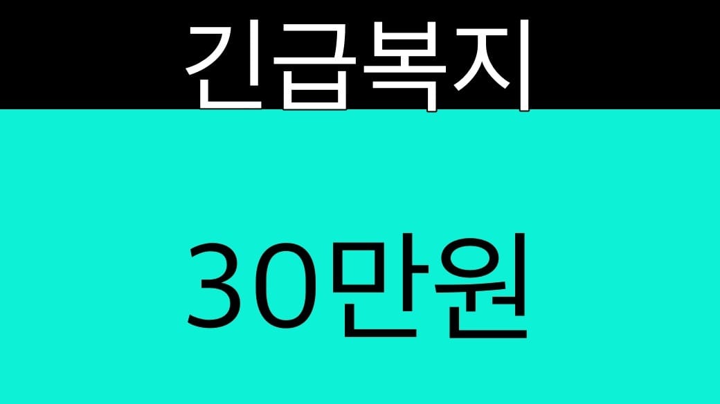 긴급복지 30만원